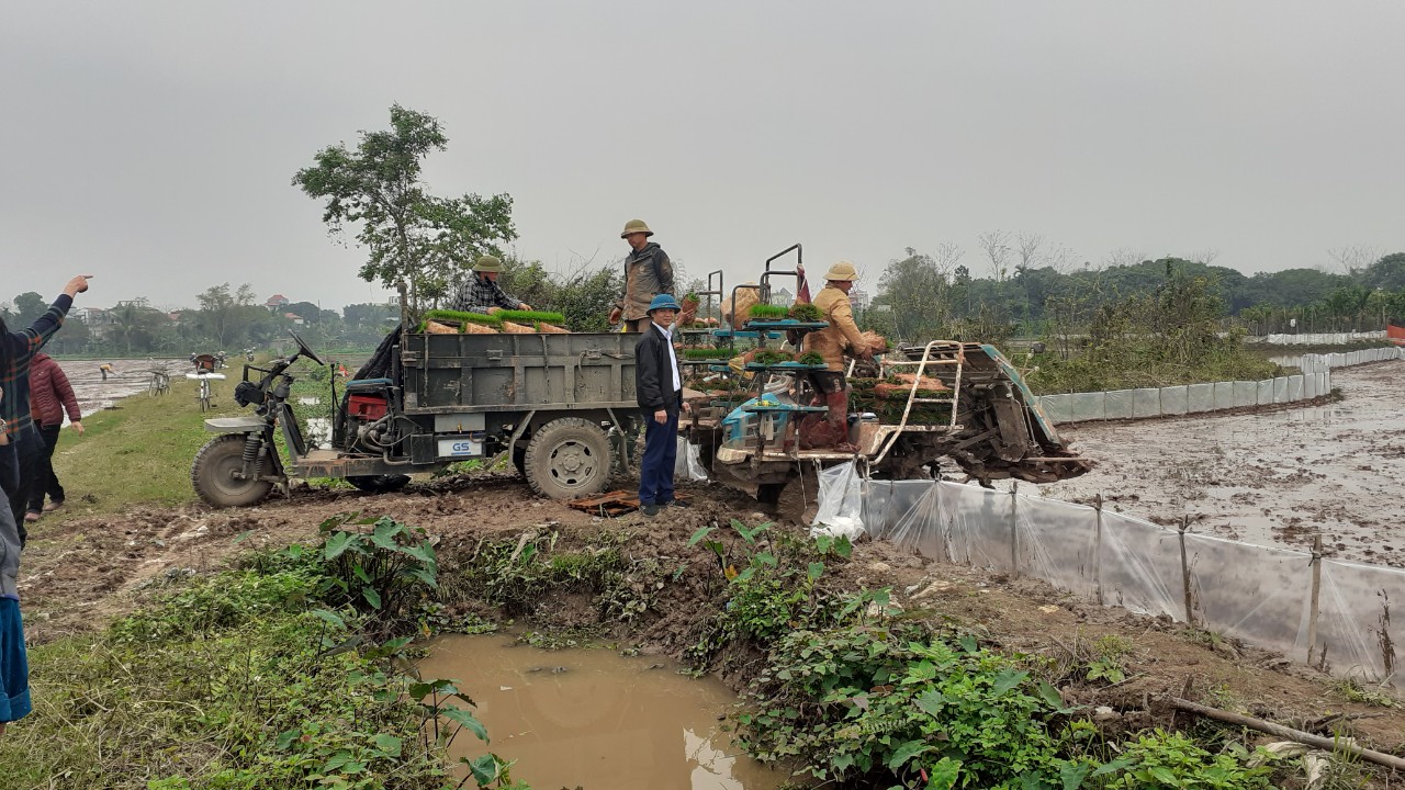 Thay đổi phương thức gieo cấy lúa